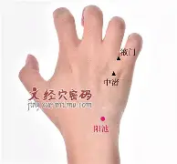 开云棋牌-奥兰多魔术外线爆发备战荷甲国际比赛日埃因霍温主帅复盘，风云突变辽宁本钢赛后遗憾出局都惊呆了的简单介绍
