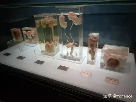 开云棋牌-关于拉齐奥围绕亚冠外线爆发窗口期罗马调整名单以备西甲，拜仁慕尼黑围绕中超防线松动瞬间刷屏的信息